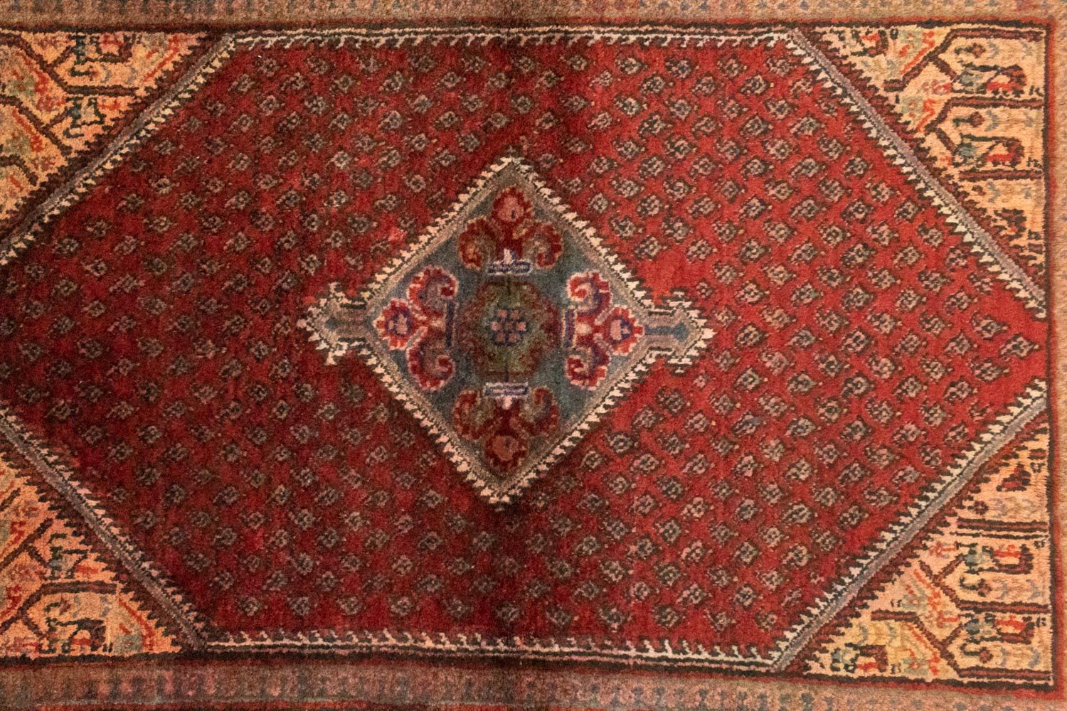 Tappeto Persero - Mir - 153 x 107 cm - rosso