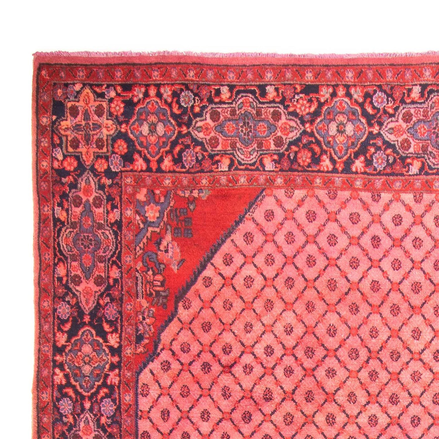 Kolyai Tappeto 290x210cm - Tappeto persiano