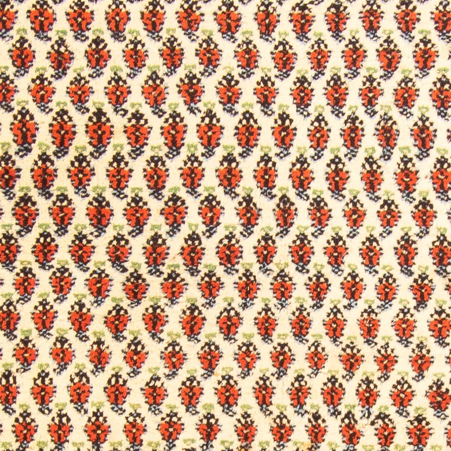 Tappeto orientale - Mir - Indus - 238 x 174 cm - beige