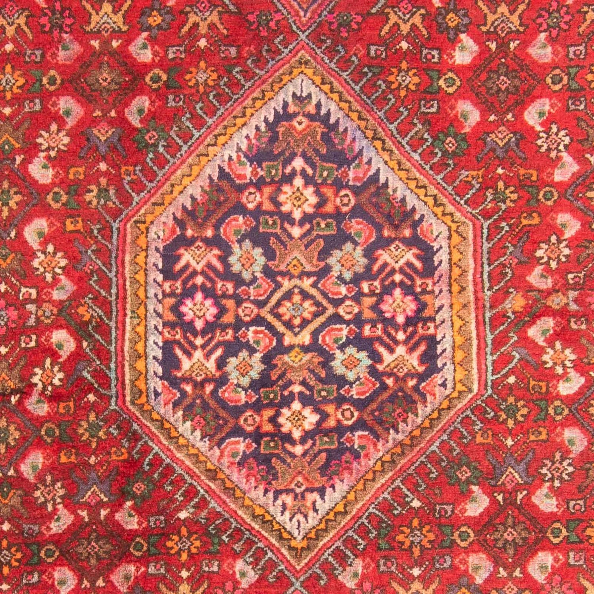 Tappeto corsia Tappeto Persero - Bidjar - 222 x 128 cm - rosso chiaro