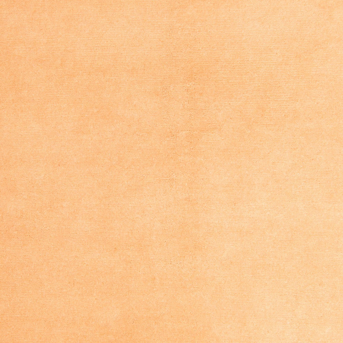 Tappeto Nepal - 237 x 170 cm - beige