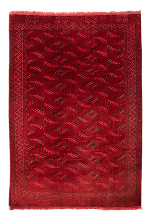 Tappeto afgano - 323 x 279 cm - rosso