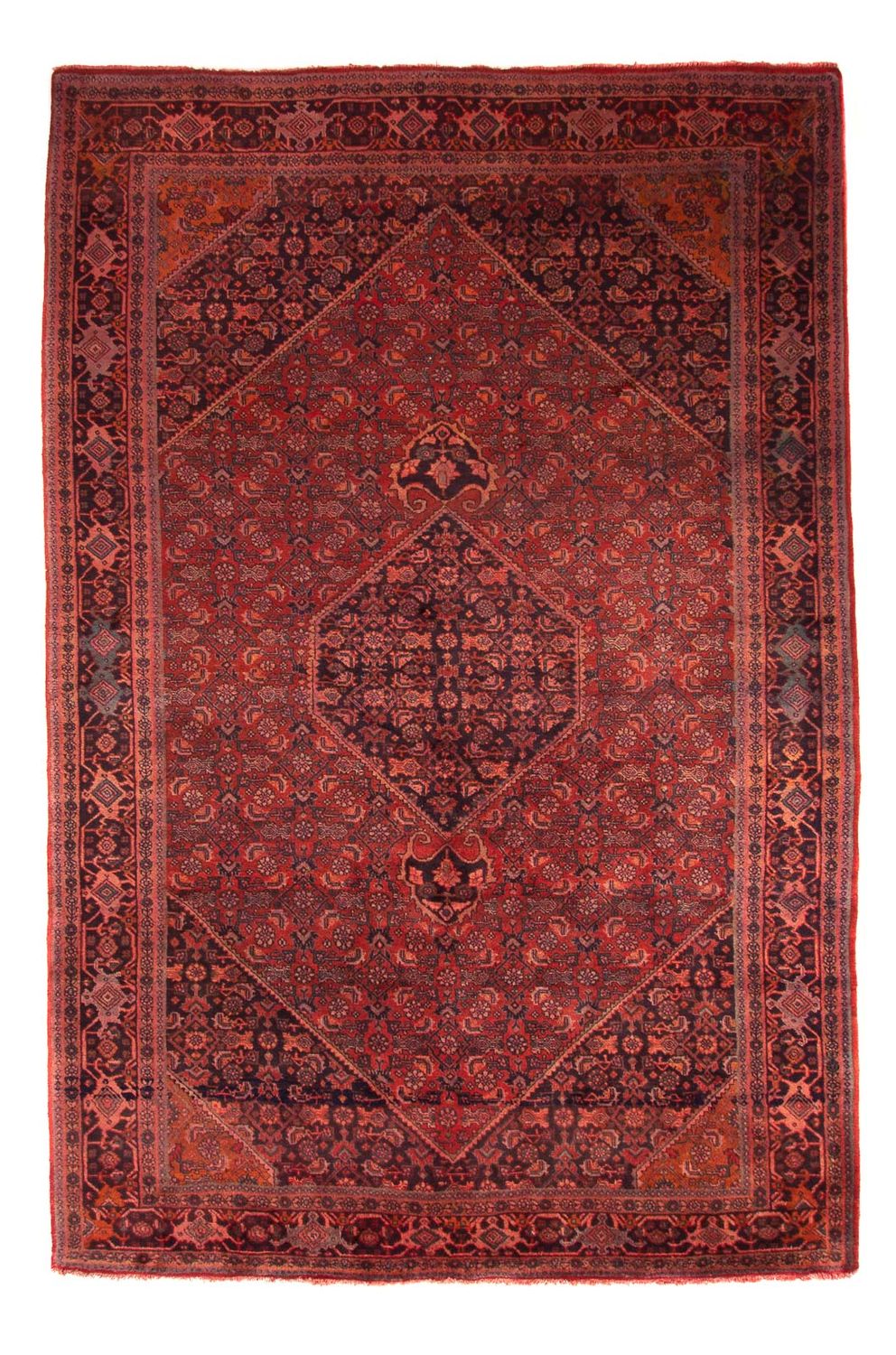 Tappeto Persero - Bidjar - 327 x 220 cm - rosso scuro