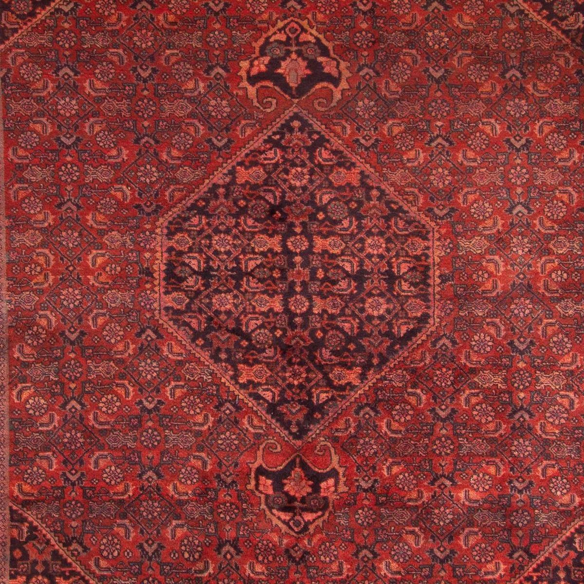 Tappeto Persero - Bidjar - 327 x 220 cm - rosso scuro