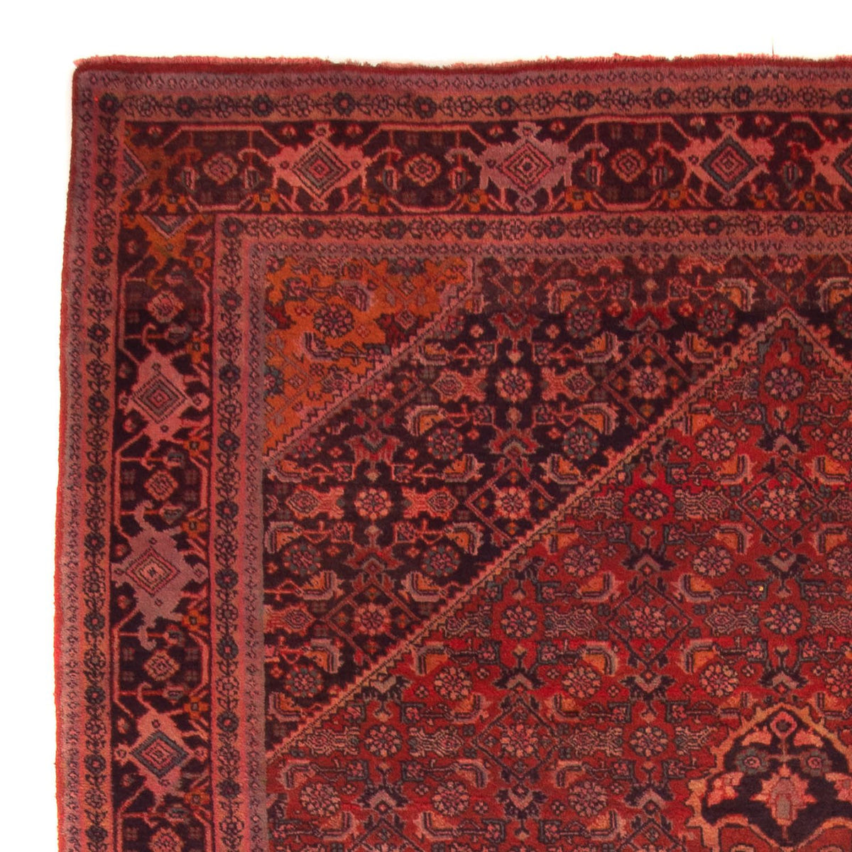 Tappeto Persero - Bidjar - 327 x 220 cm - rosso scuro