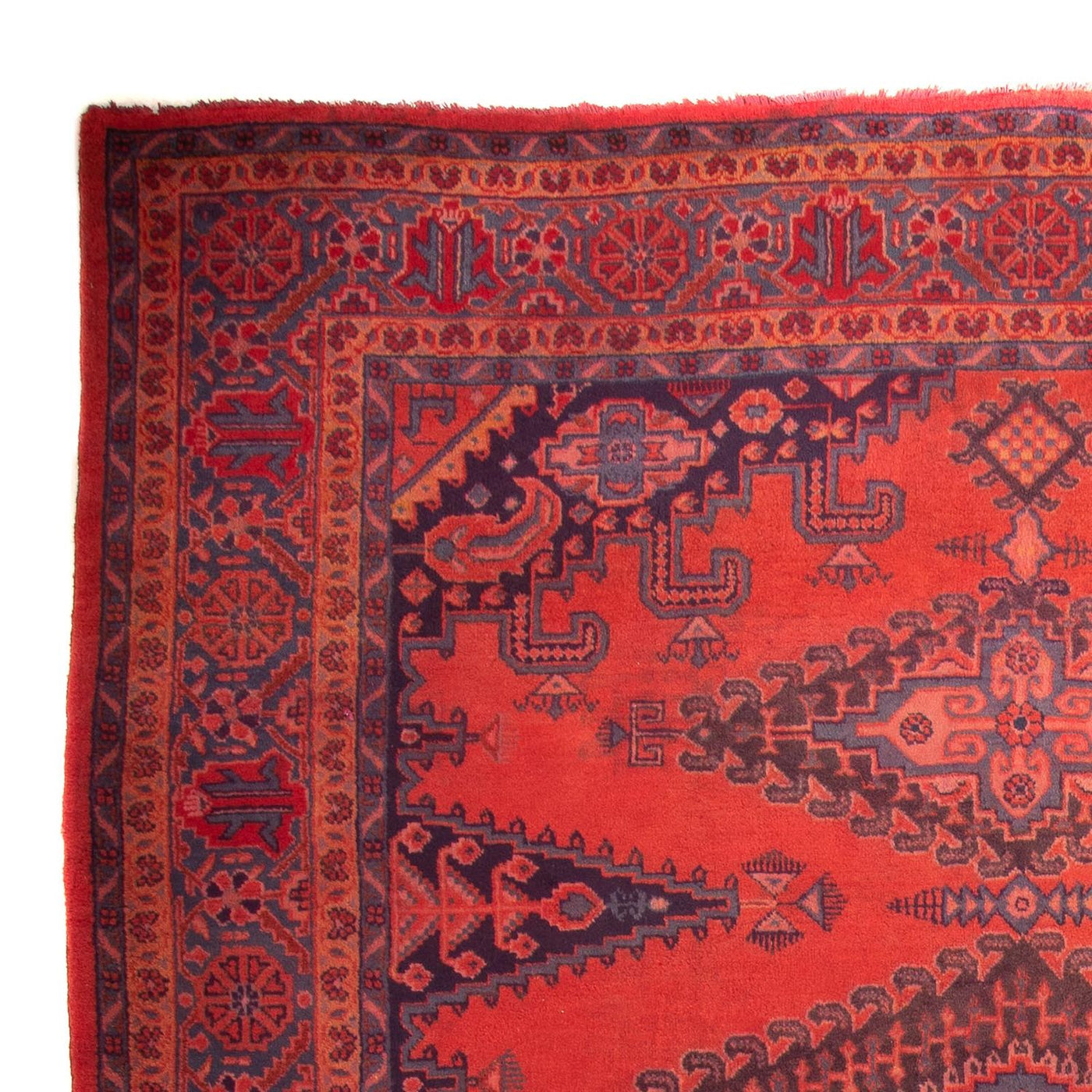 Wiss Tappeto 335x225cm - Tappeto persiano