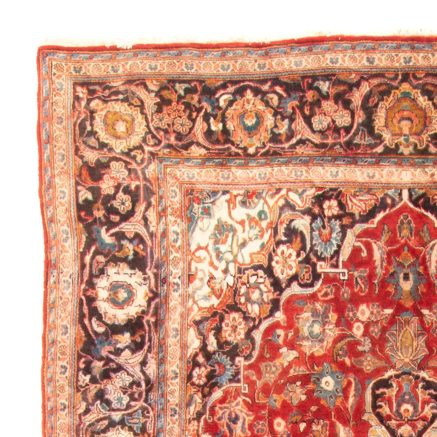 Kashan Tappeto 322x183cm - Tappeto persiano