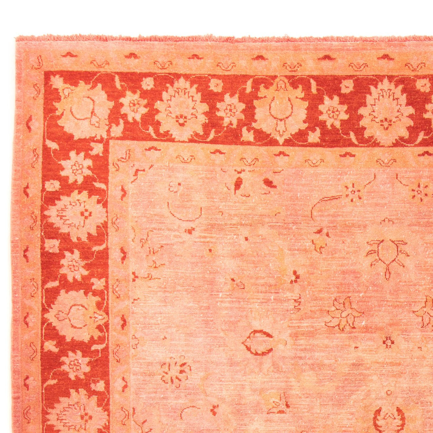 Tappeto Ziegler 300x242cm - Tappeto orientale