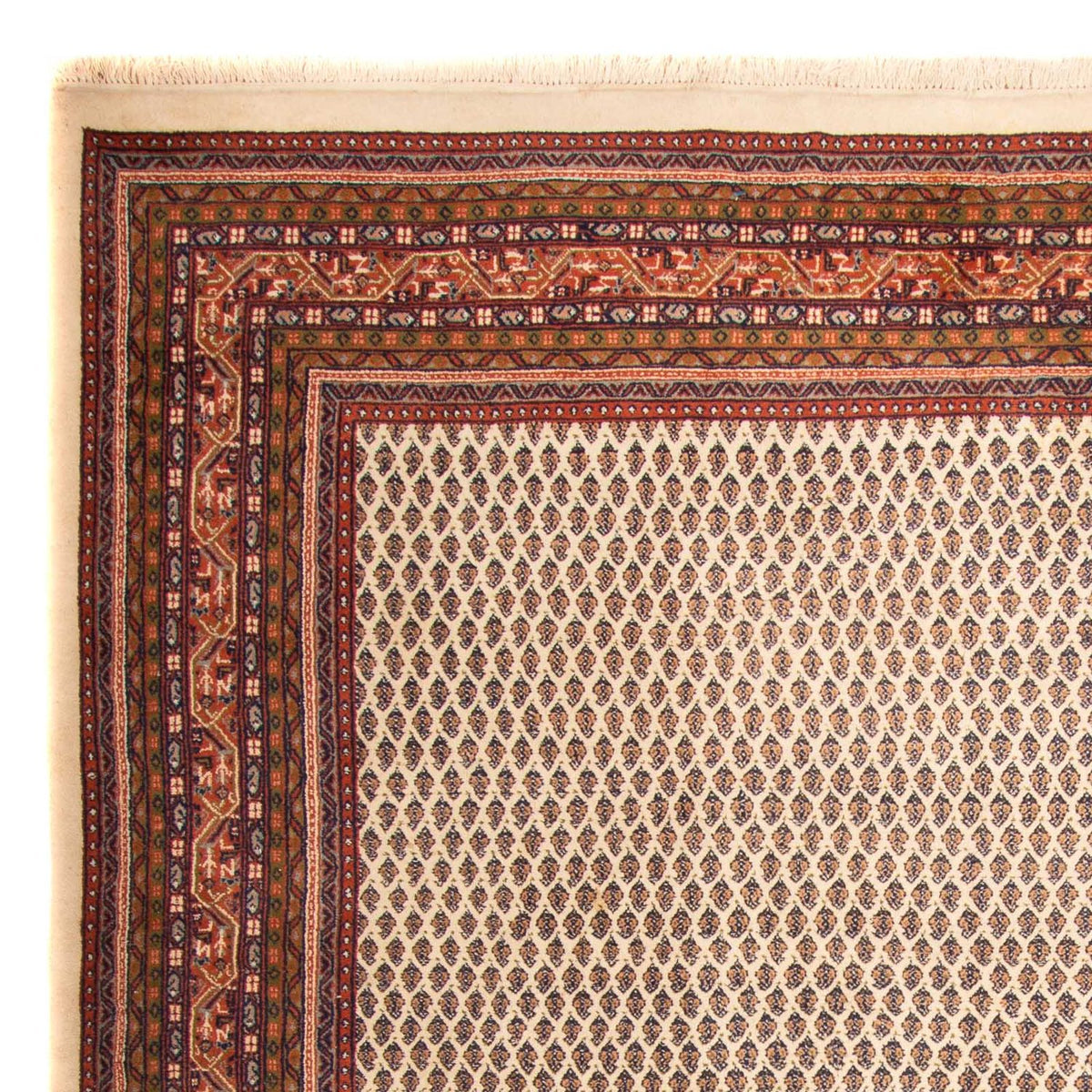 Tappeto orientale - Mir - Indus - 344 x 244 cm - beige