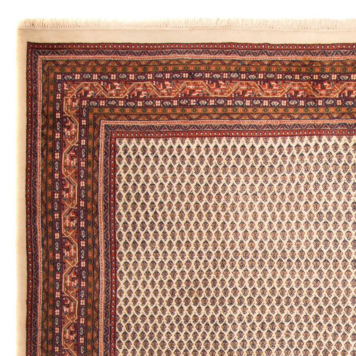 Mir Indo Tappeto 344x244cm - Tappeto orientale
