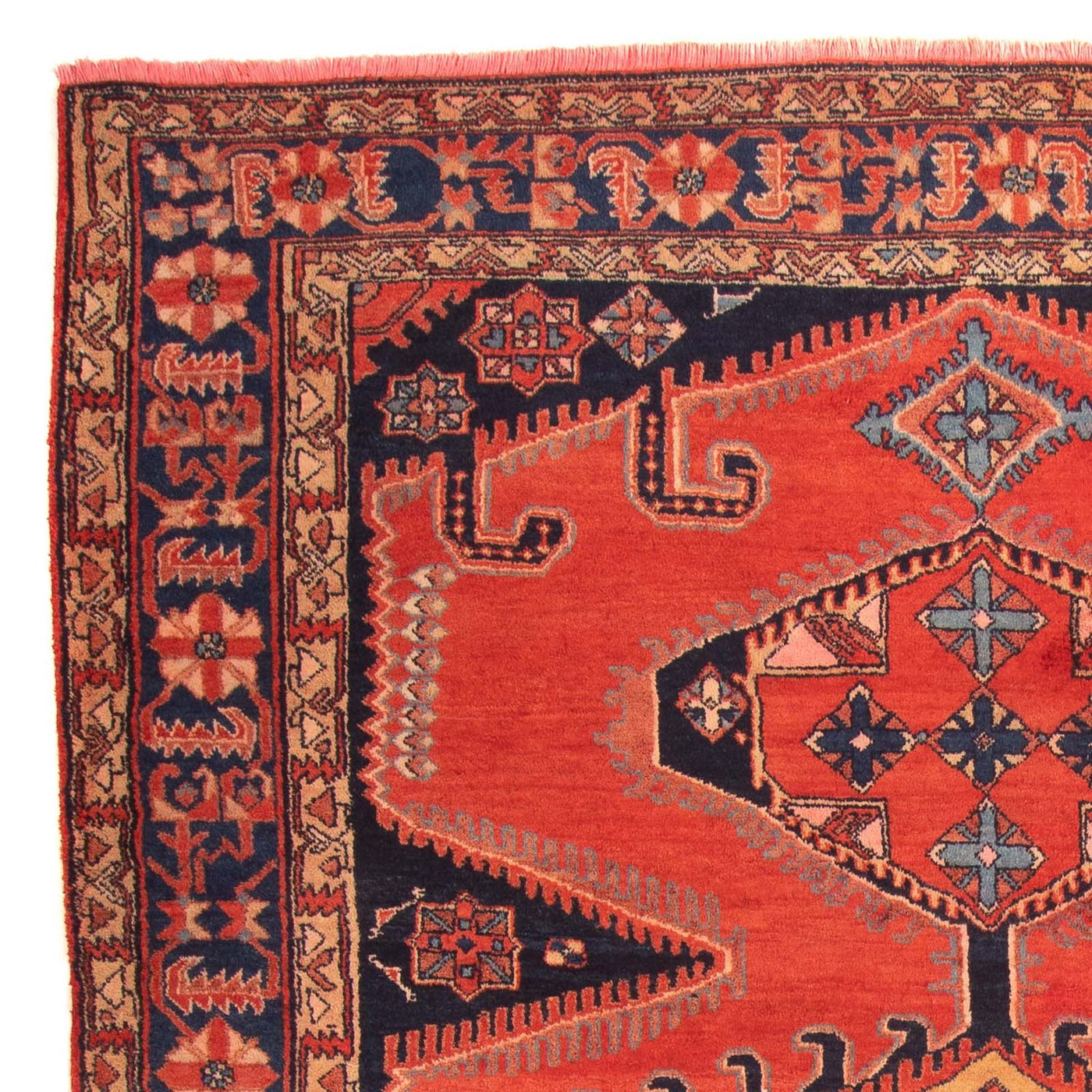 Wiss Tappeto 315x211cm - Tappeto persiano
