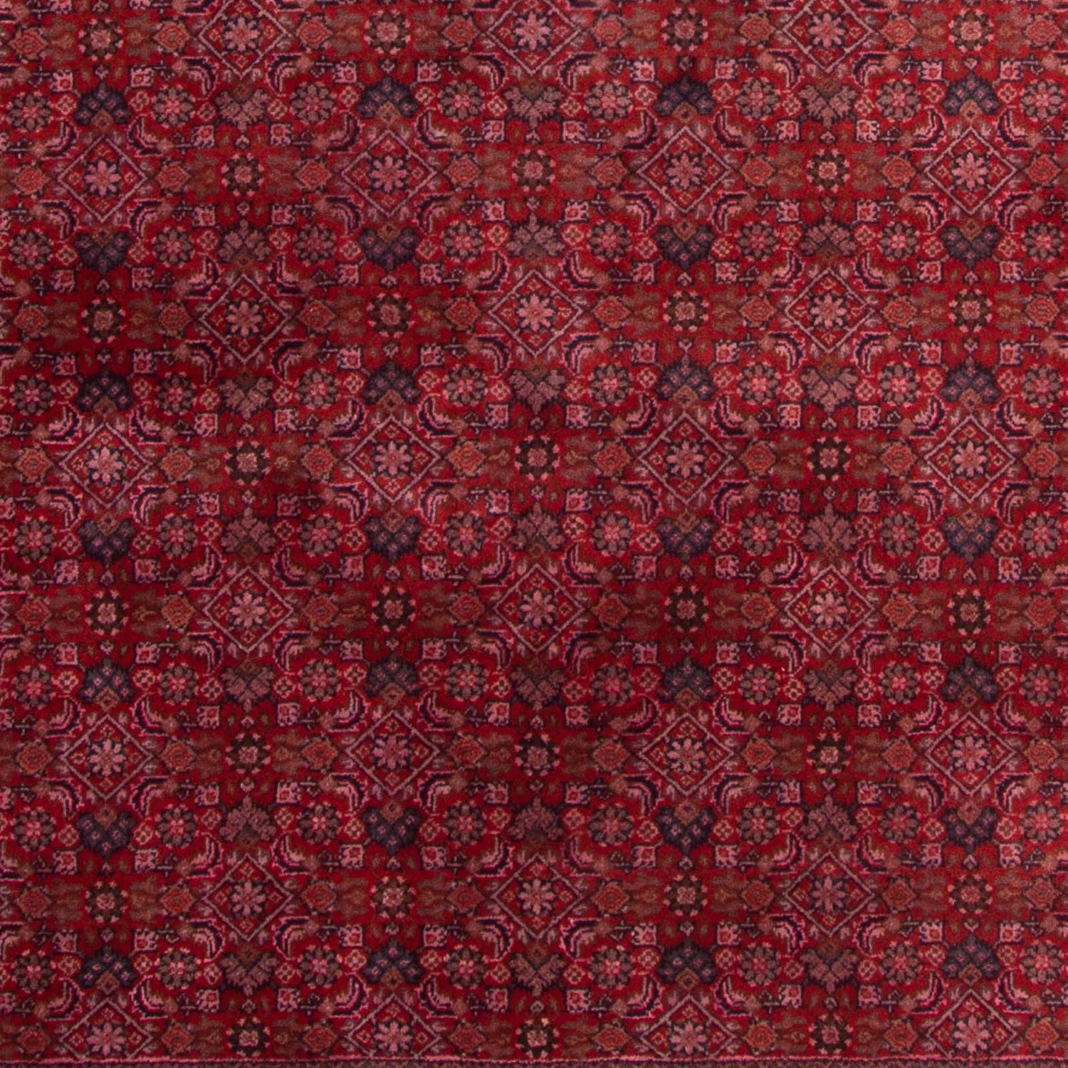 Tappeto orientale - Bidjar - Indo - 300 x 200 cm - rosso