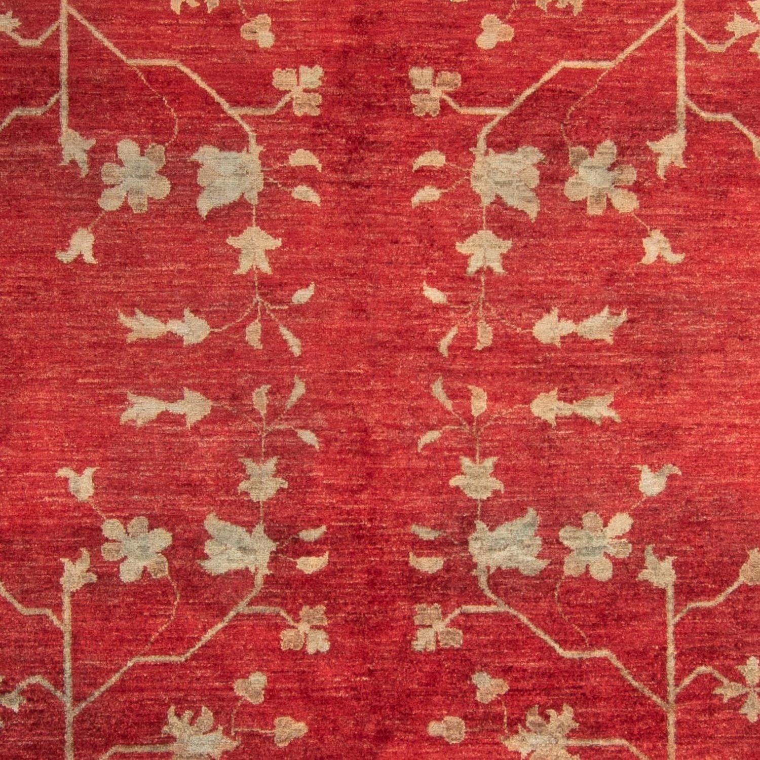 Tappeto Ziegler - 292 x 200 cm - rosso