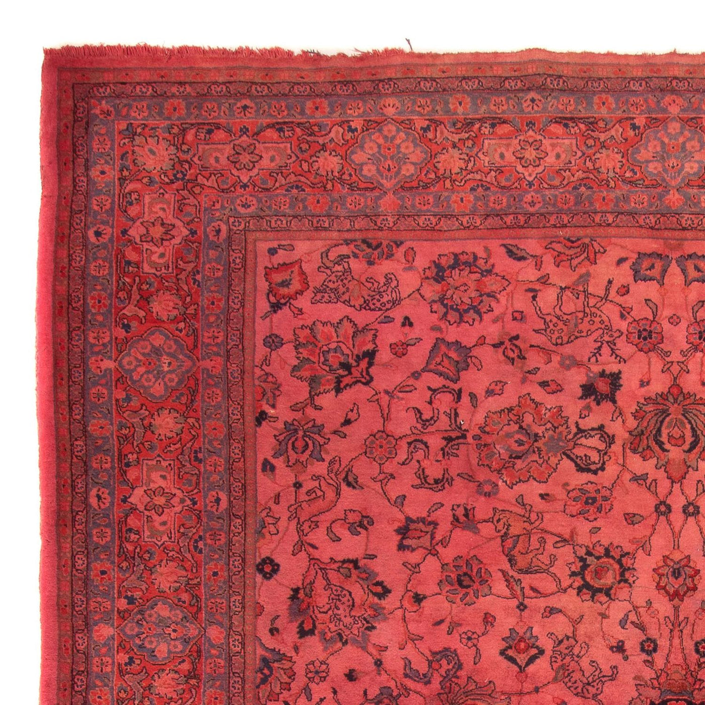 Sarouk Tappeto 349x244cm - Tappeto persiano