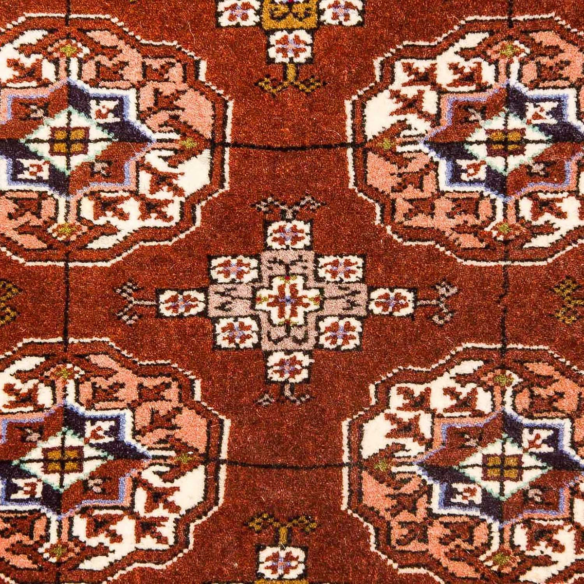 Tappeto Turkaman - 154 x 103 cm - marrone