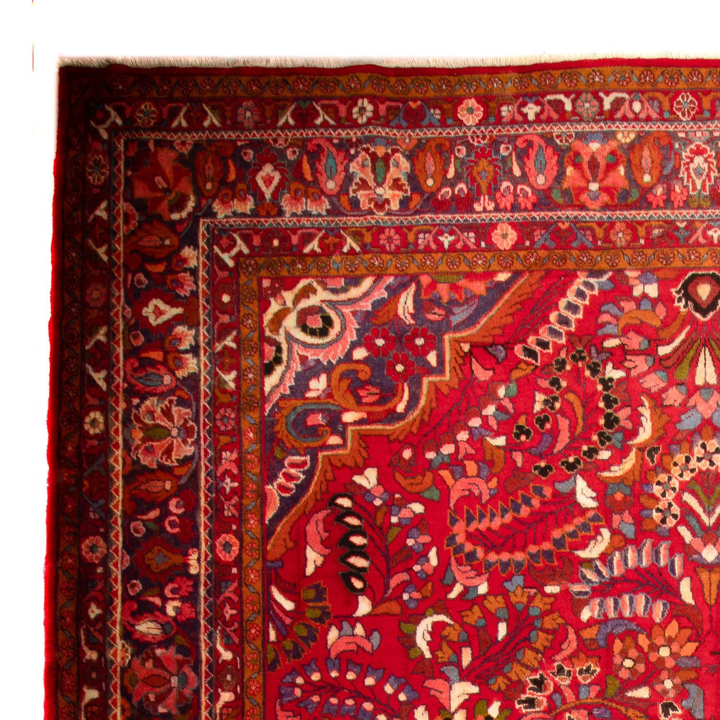 Lilian Tappeto 460x326cm - Tappeto persiano