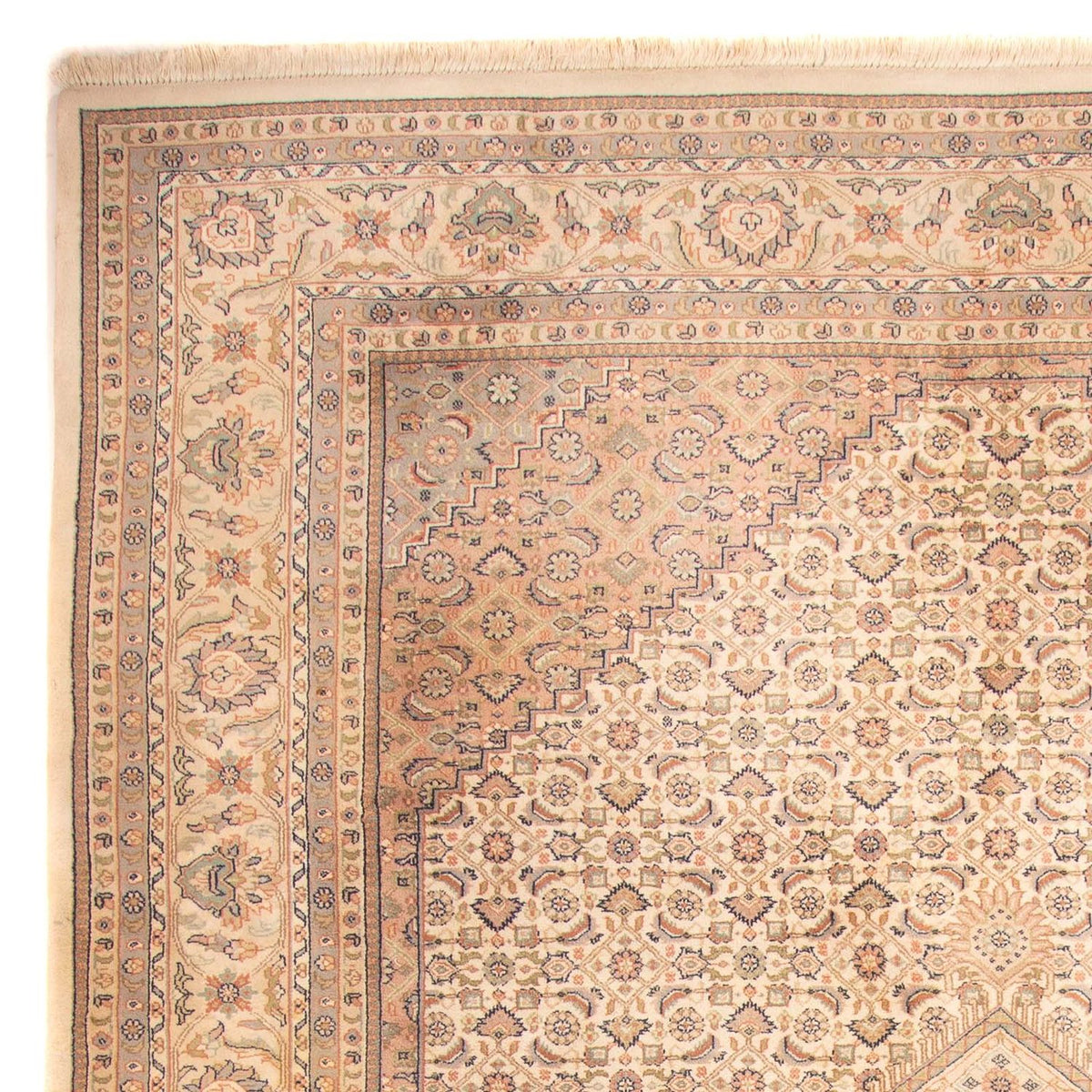 Tappeto orientale - Bidjar - Indo - 350 x 250 cm - beige