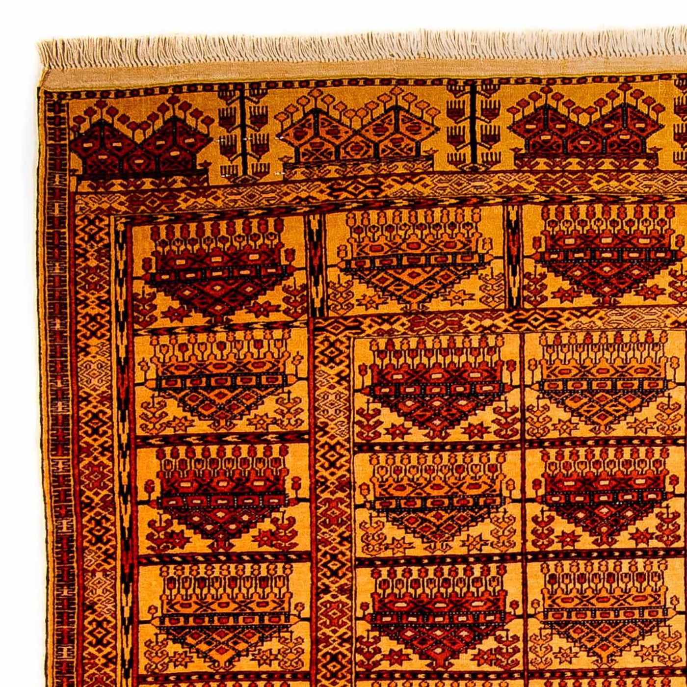 Tappeto di seta - seta afgana - 173 x 126 cm - oro