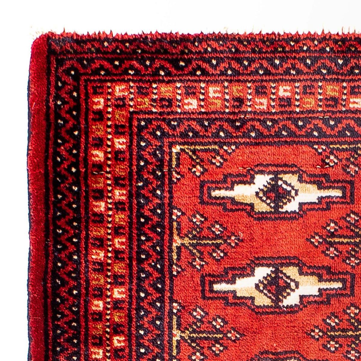 Tappeto Turkaman 67x88cm - Tappeto orientale