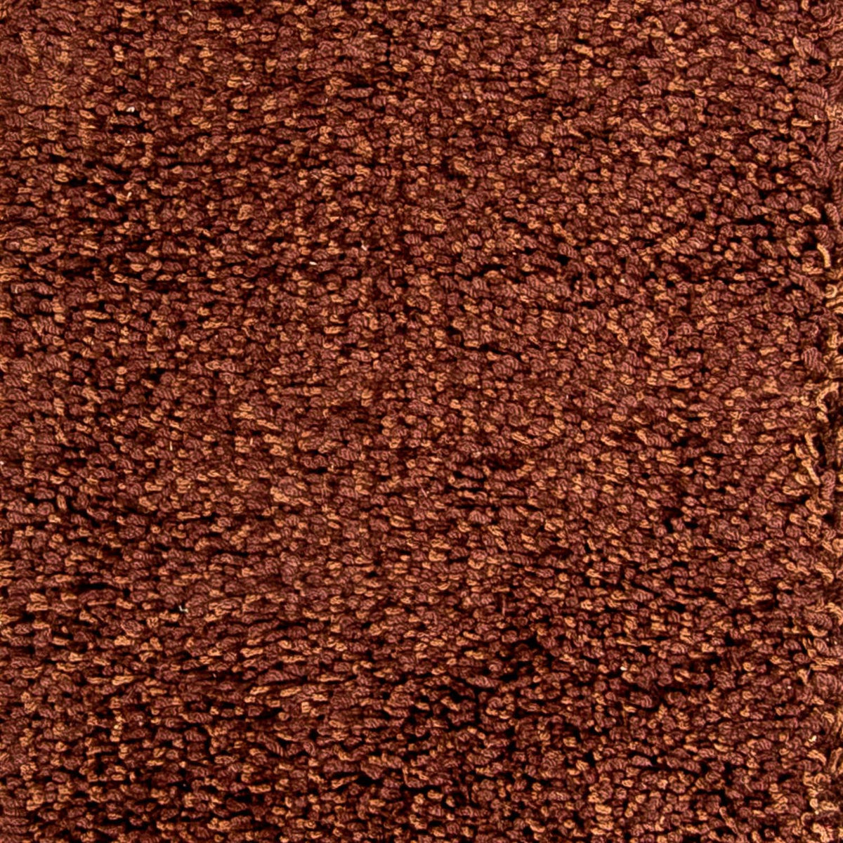 Tappeto corsia Tappeto a pelo alto - 304 x 65 cm - marrone