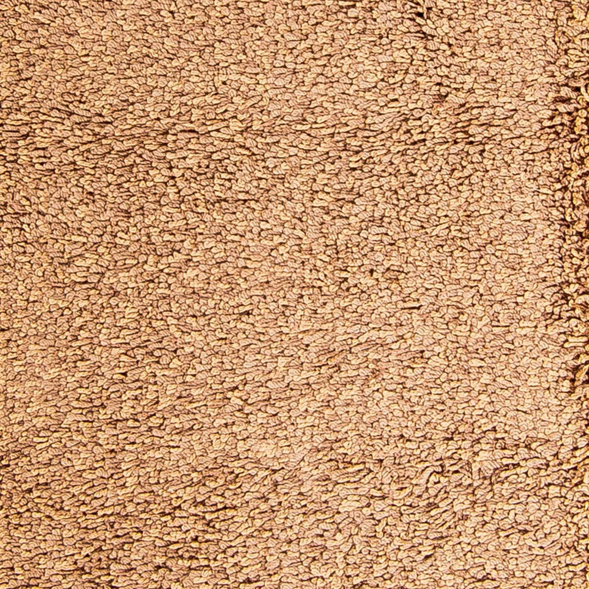 Tappeto corsia Tappeto a pelo alto - 310 x 65 cm - marrone chiaro