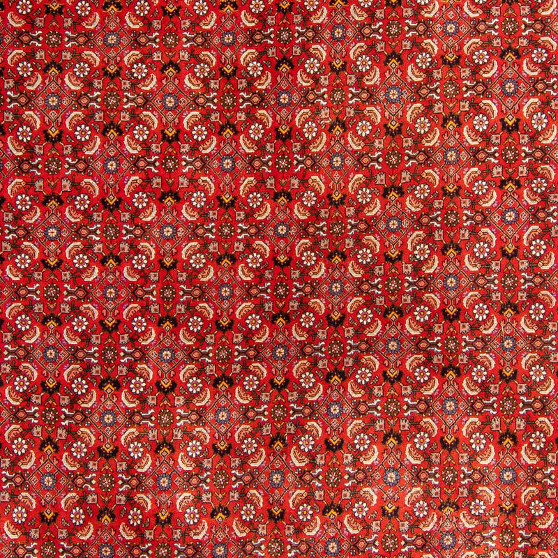 Tappeto Persero - Bidjar - 300 x 204 cm - rosso