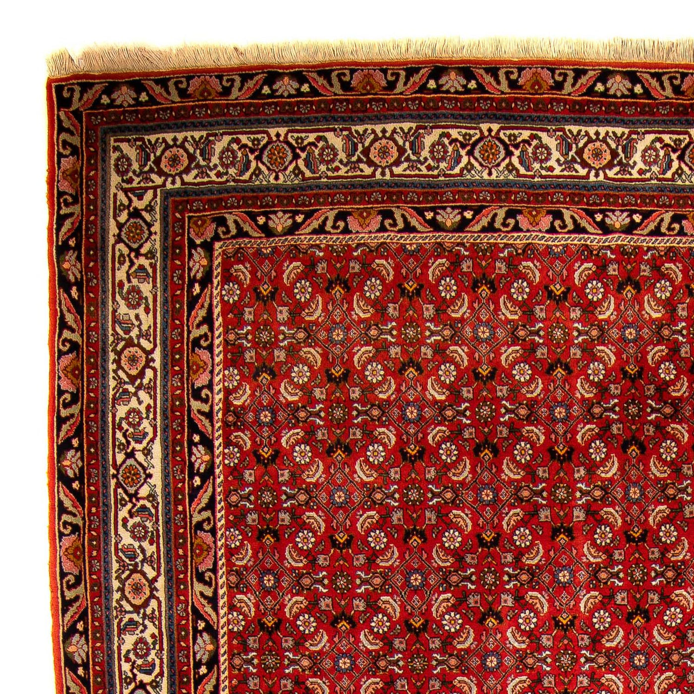 Bidjar Tappeto 300x204cm - Tappeto persiano