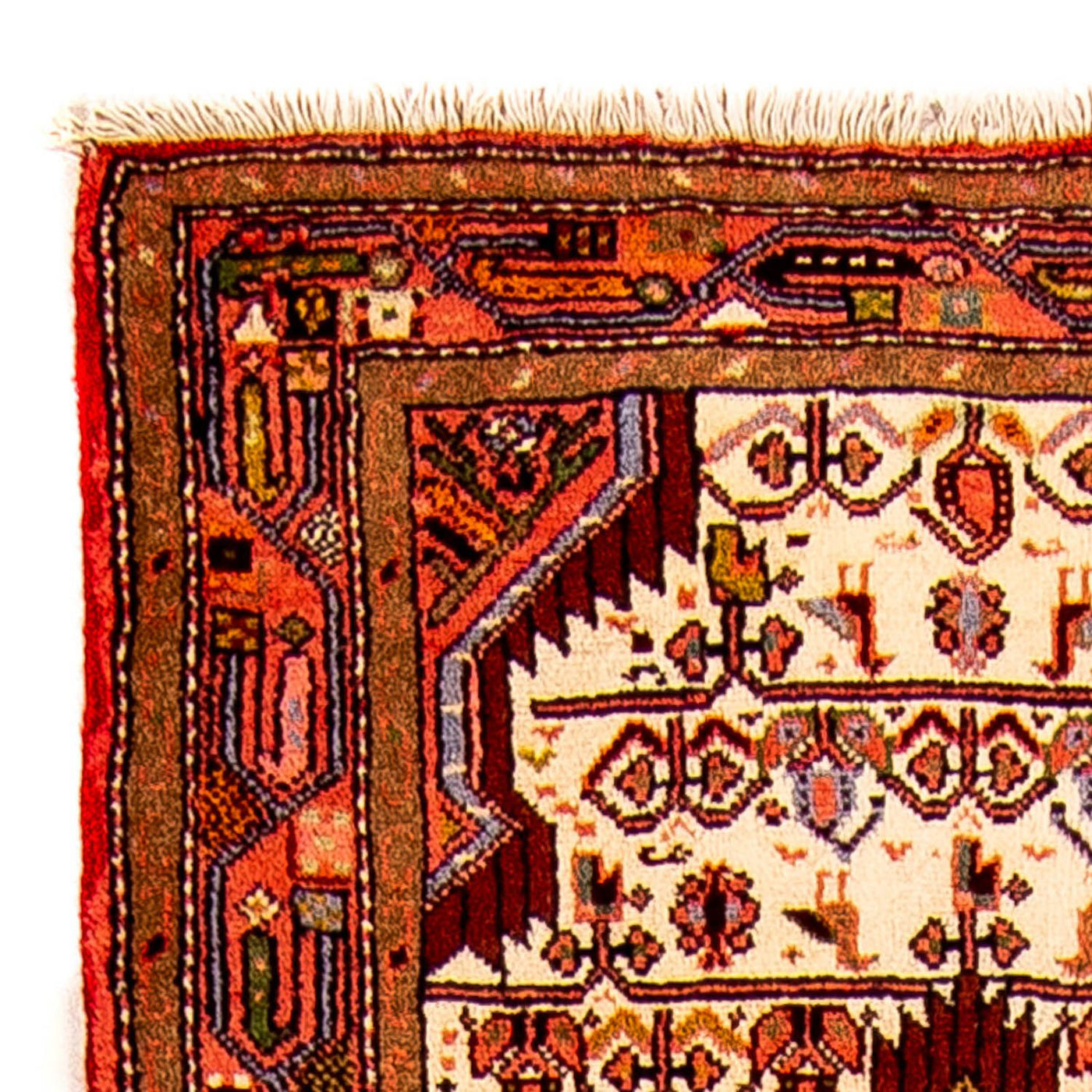 Ardabil Tappeto 240x70cm - Tappeto persiano