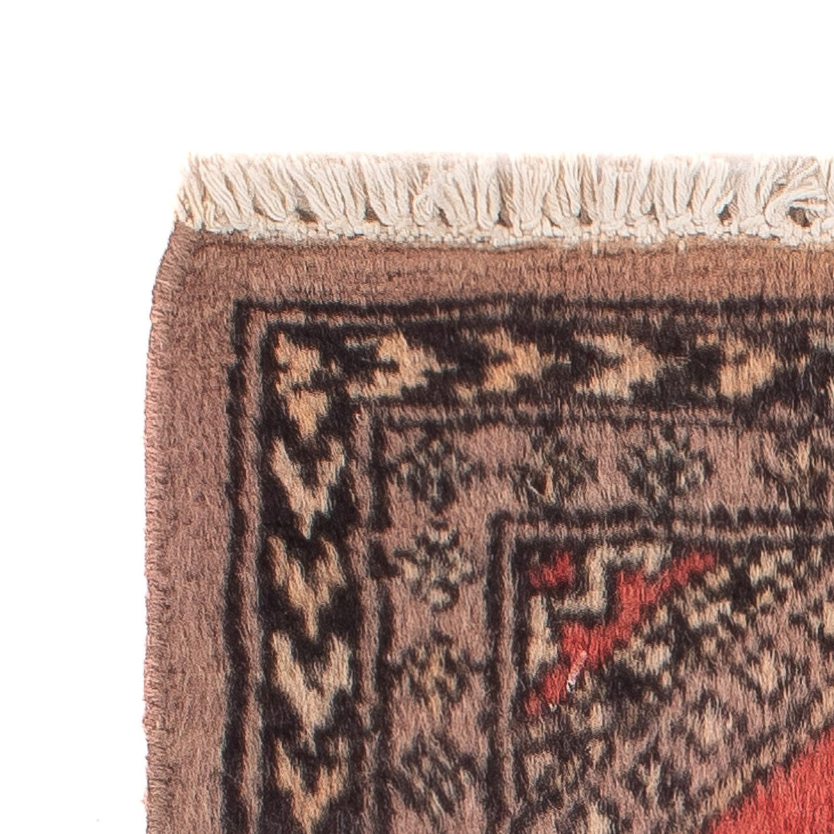 Tappeto Pakistani - 57 x 47 cm - marrone chiaro