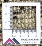 Tappeto orientale - 160 x 90 cm - rosso