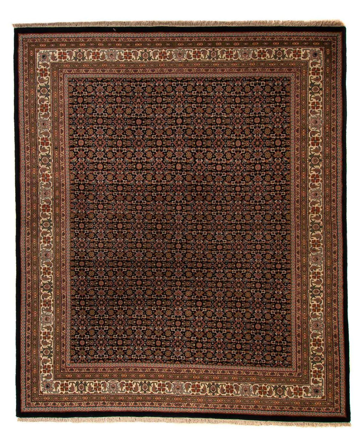 Tappeto orientale - Bidjar - Indo - 306 x 254 cm - blu scuro