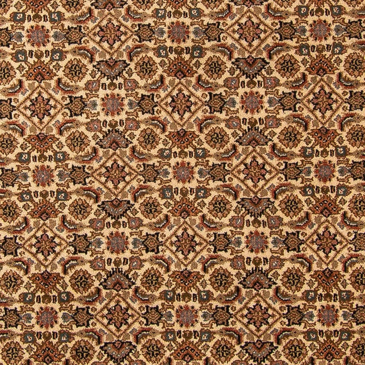 Tappeto orientale - Bidjar - Indo - 309 x 250 cm - beige