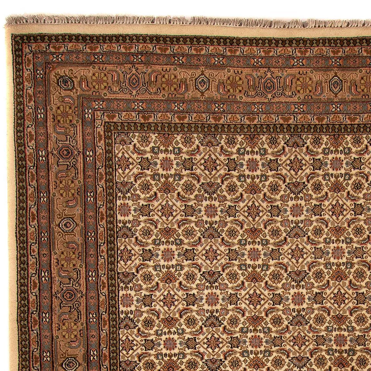 Tappeto orientale - Bidjar - Indo - 309 x 250 cm - beige