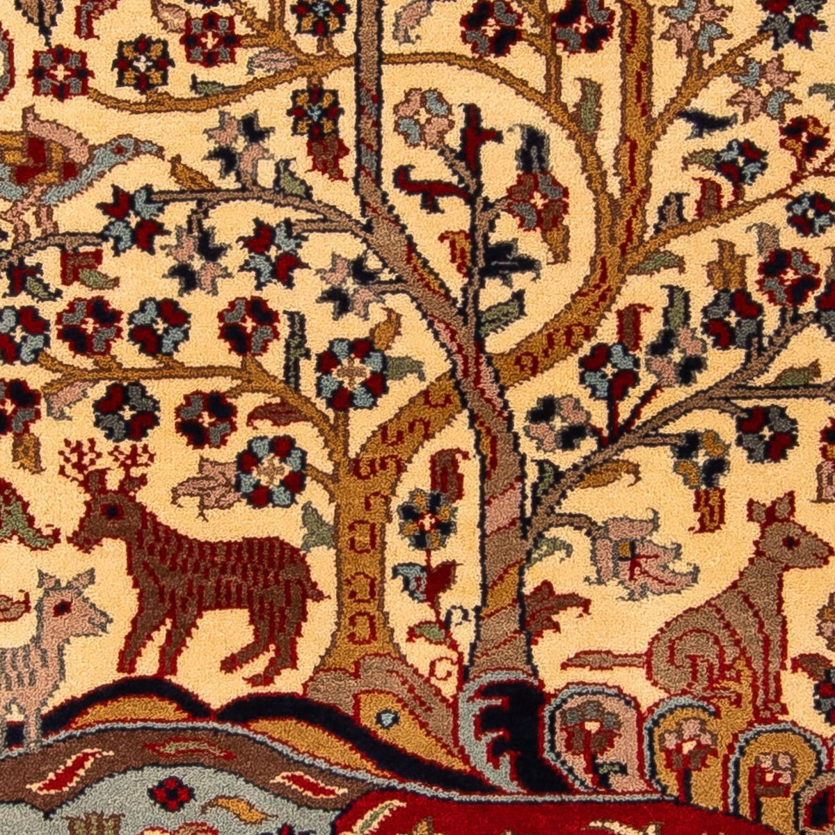 Tappeto orientale - Indo - 157 x 93 cm - multicolore