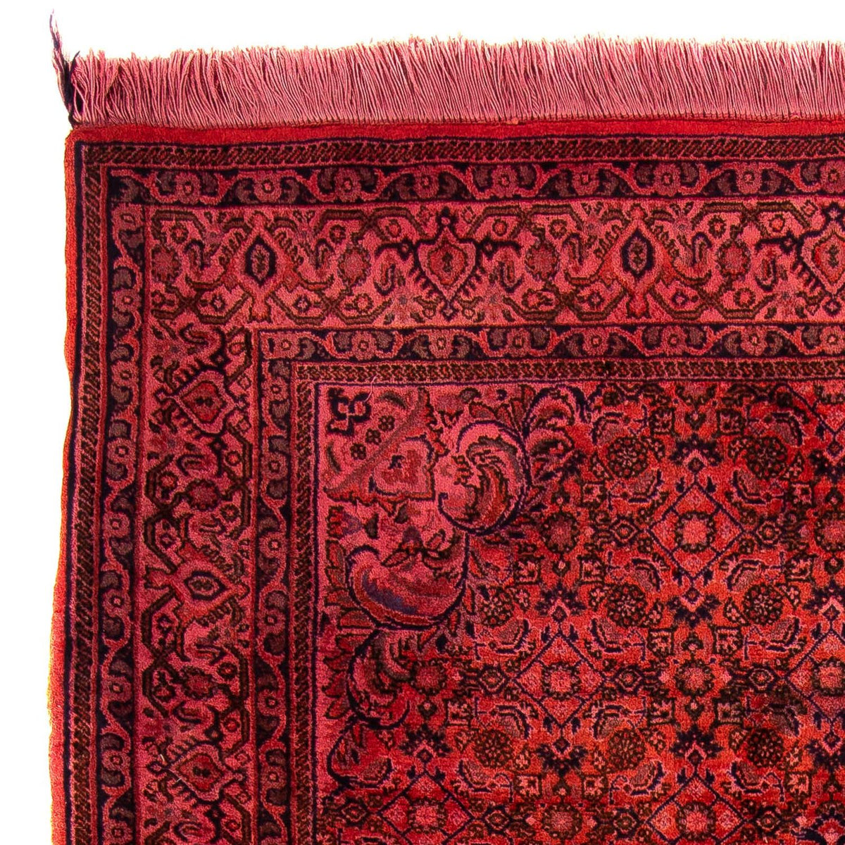 Tappeto Persero - Bidjar - 176 x 113 cm - rosso chiaro