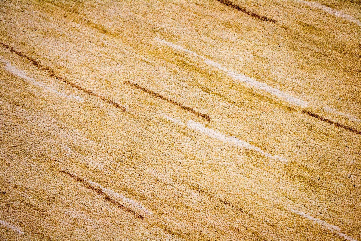 Tappeto Gabbeh - Indus - 242 x 150 cm - multicolore