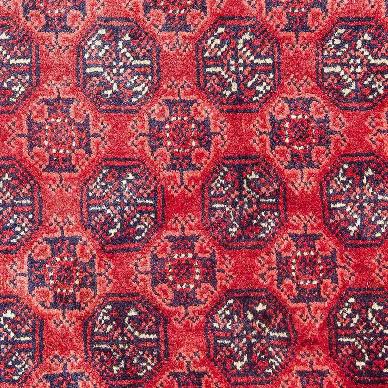 Tappeto afgano - Bukhara - 299 x 195 cm - rosso
