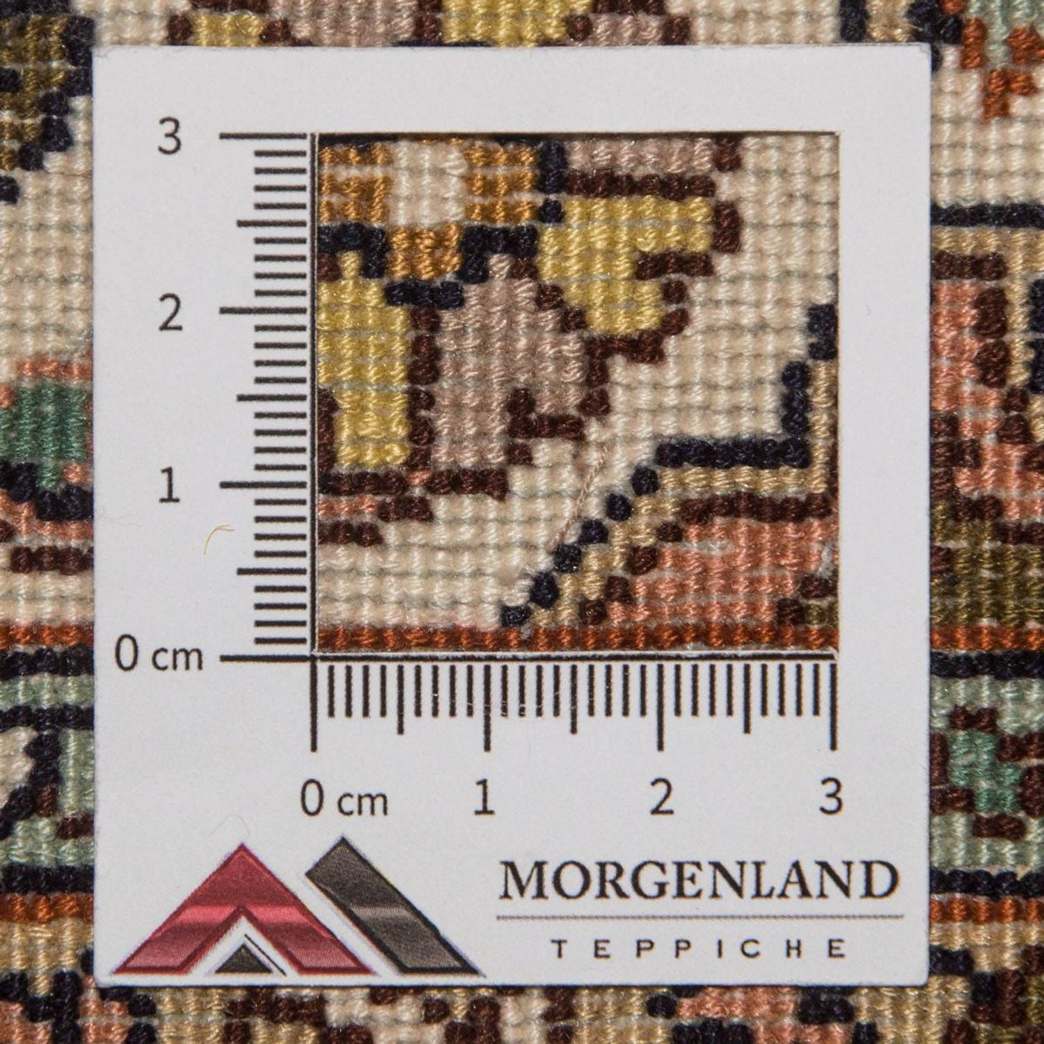 Tappeto corsia Tappeto di seta - Seta del Kashmir - 300 x 79 cm - beige