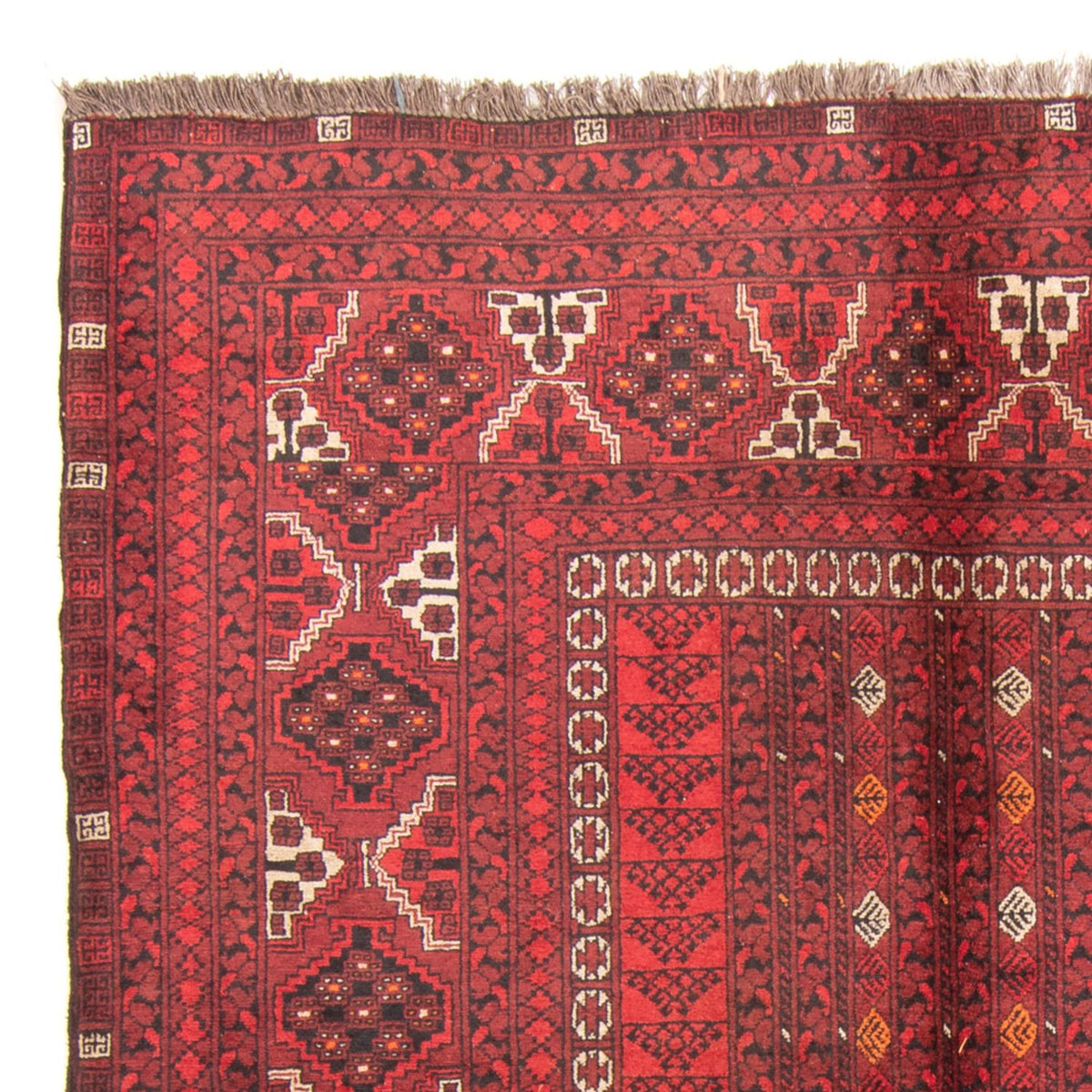 Tappeto Turkaman 164x238cm - Tappeto persiano - rosso