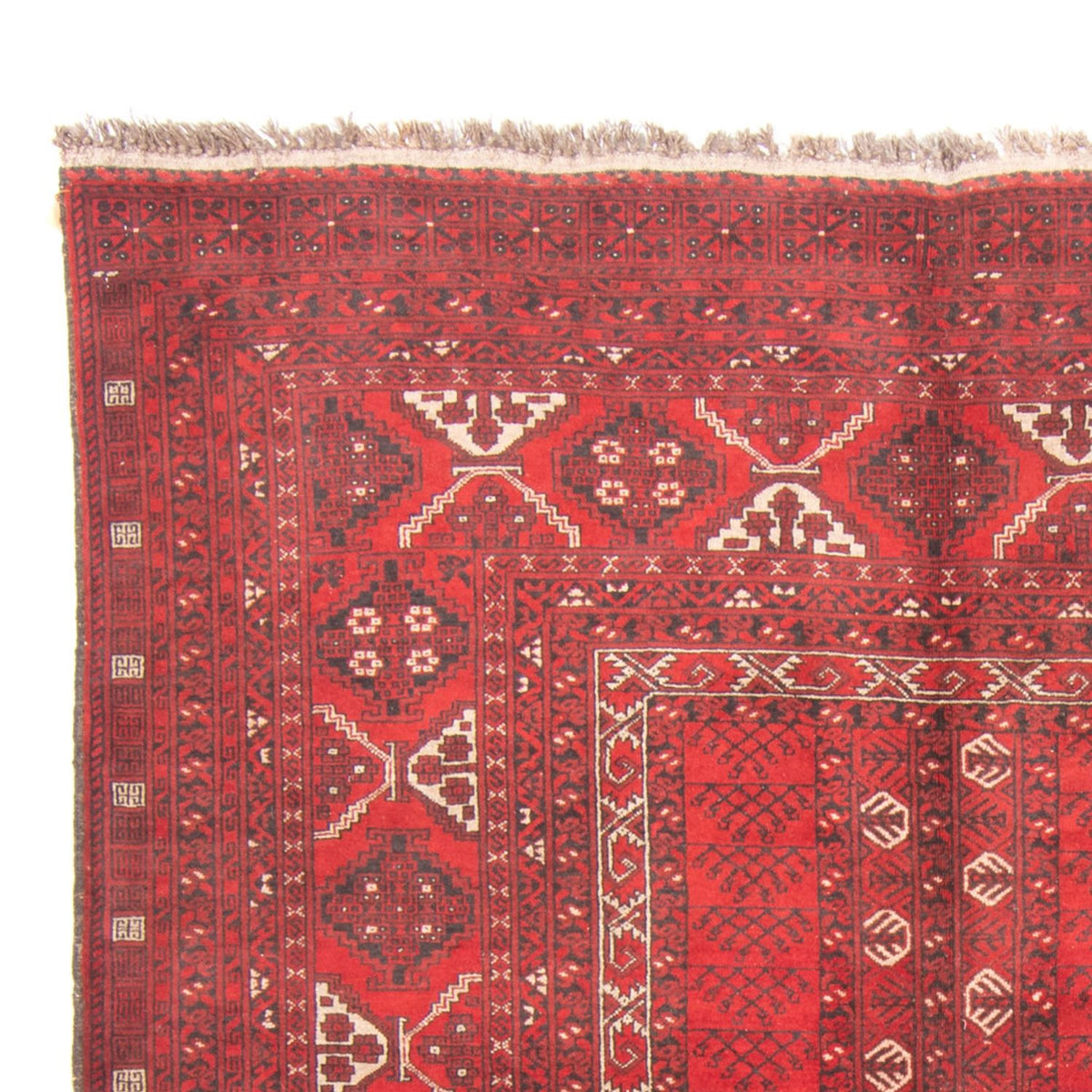 Tappeto Turkaman 159x236cm - Tappeto persiano - rosso