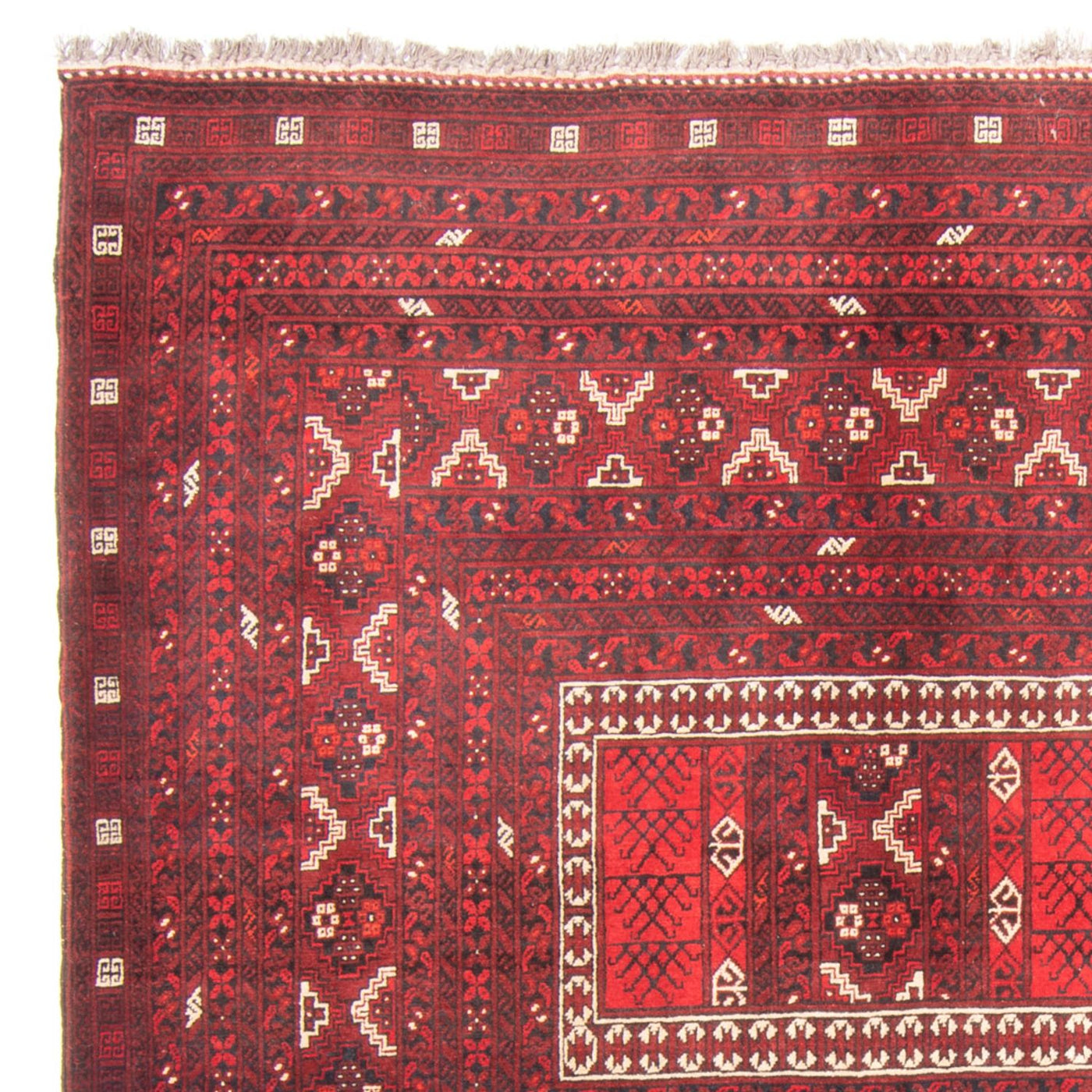 Tappeto Turkaman 236x162cm - Tappeto persiano