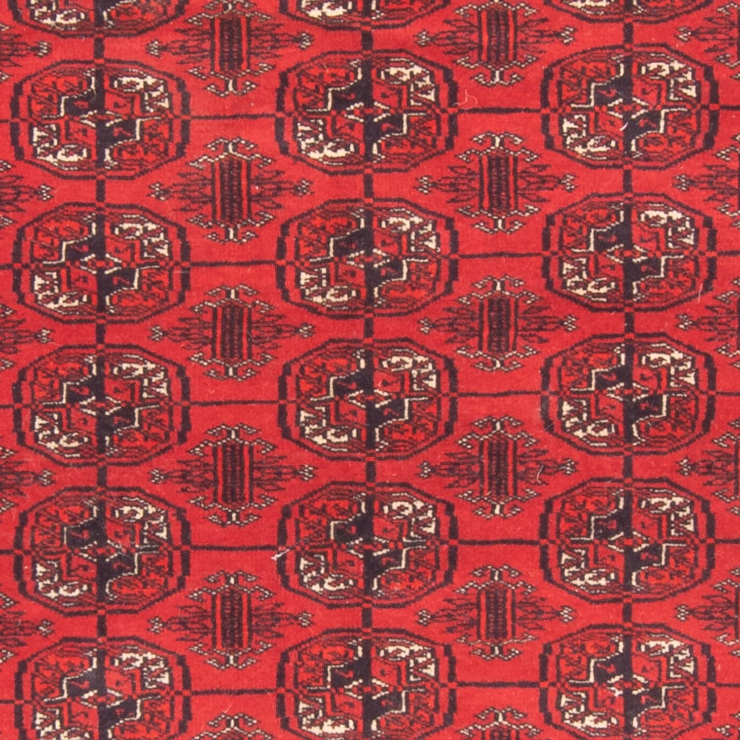 Tappeto Turkaman - 168 x 124 cm - rosso