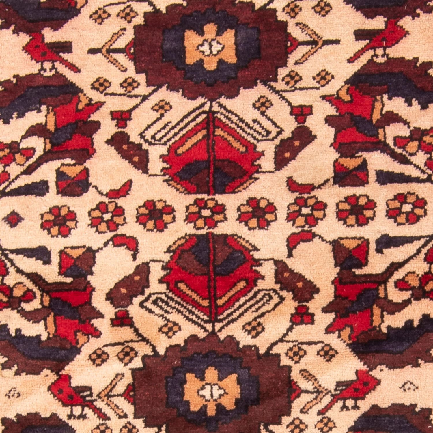 Tappeto corsia Tappeto Belutsch - 230 x 93 cm - beige