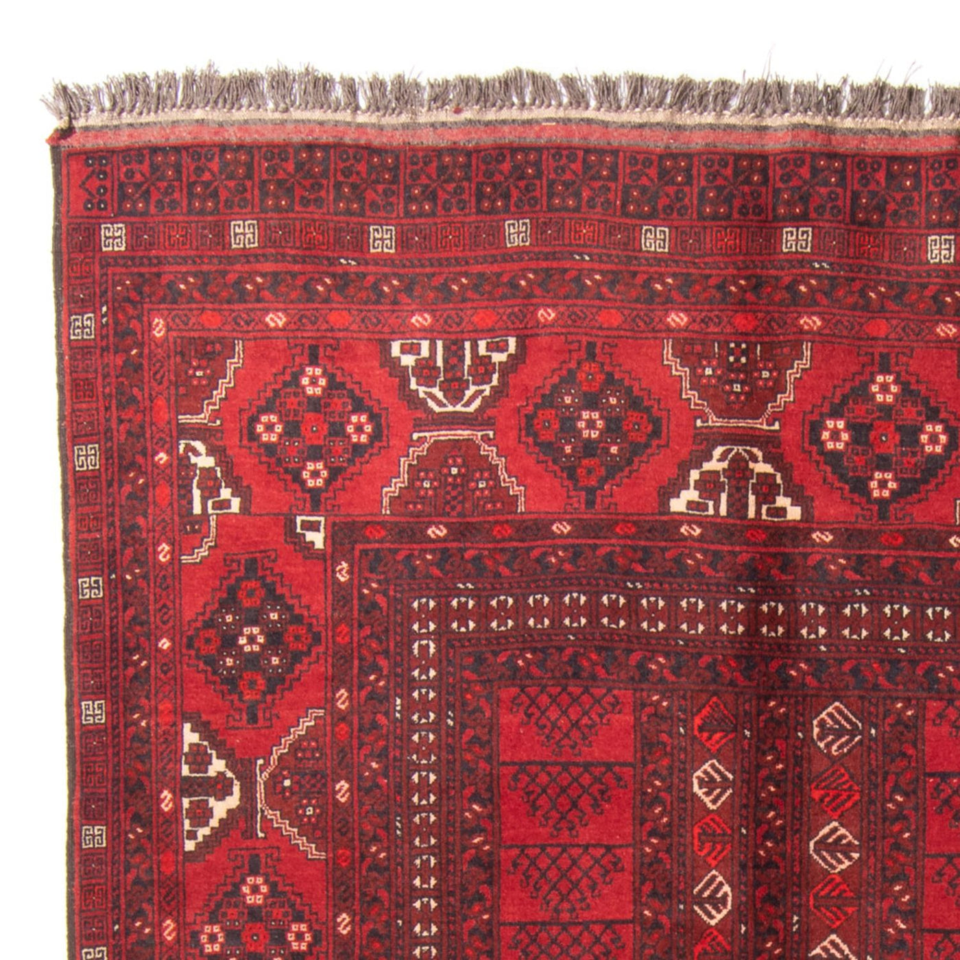 Tappeto Turkaman 228x158cm - Tappeto persiano