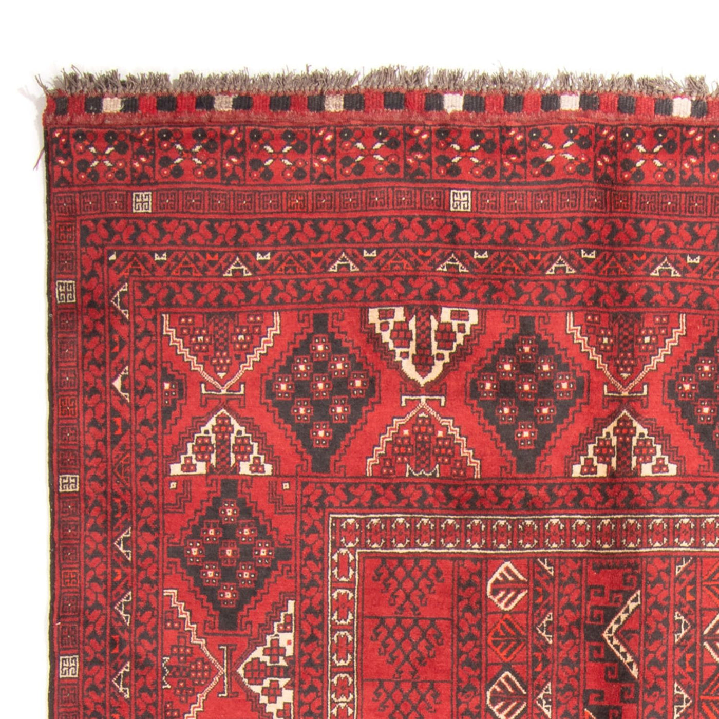 Tappeto Turkaman 230x157cm - Tappeto persiano