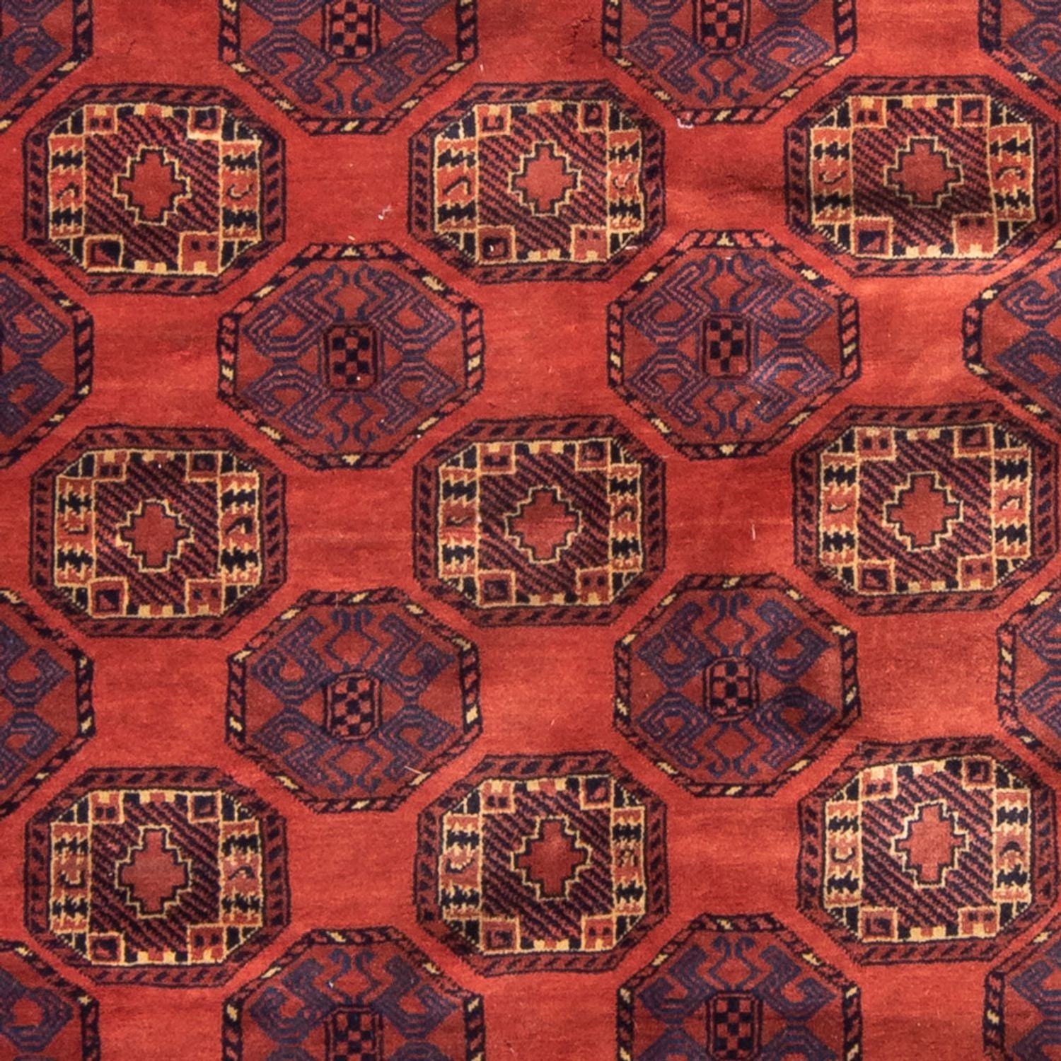 Tappeto Turkaman - 200 x 148 cm - rosso
