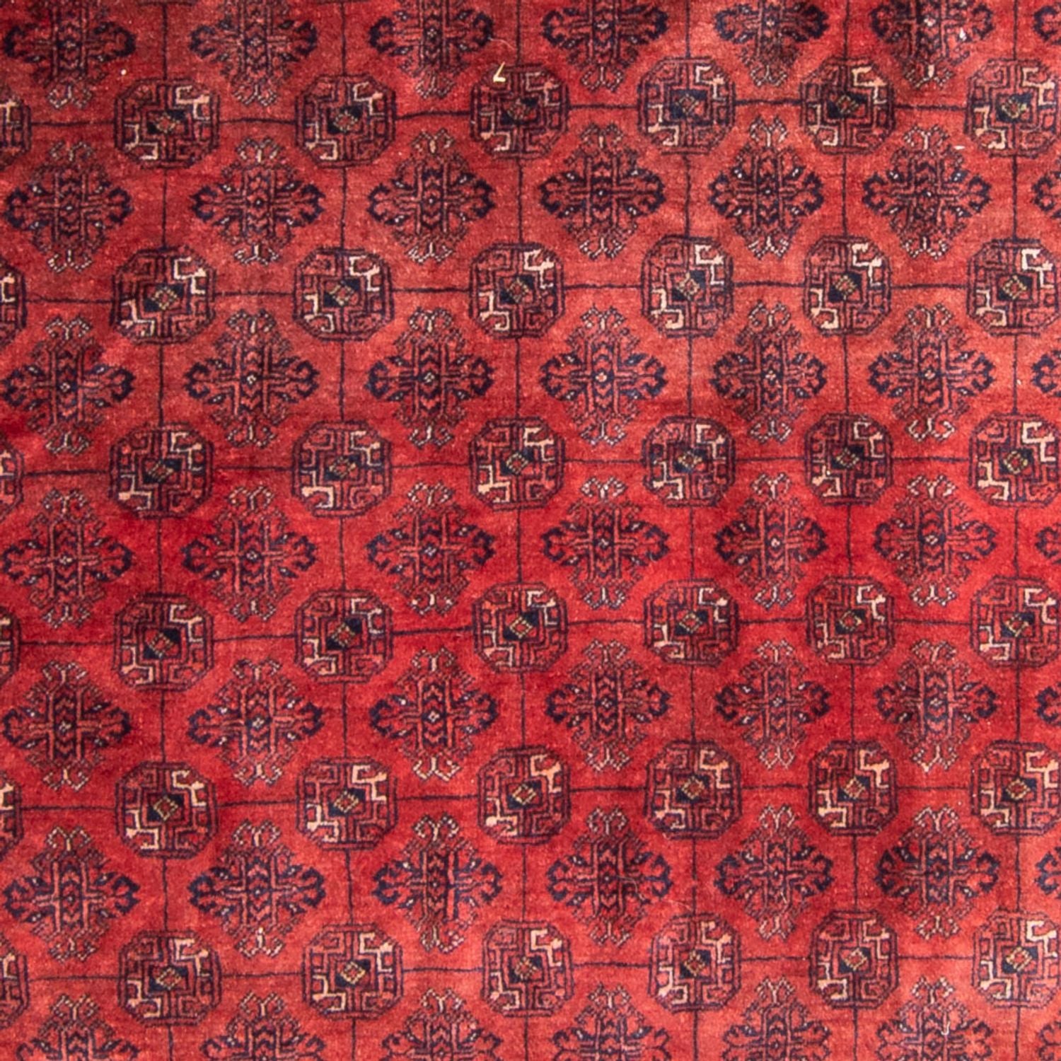 Tappeto Turkaman - 305 x 202 cm - rosso