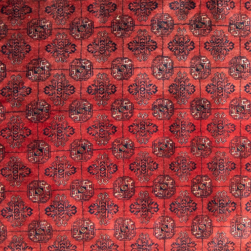 Tappeto Turkaman - 305 x 202 cm - rosso