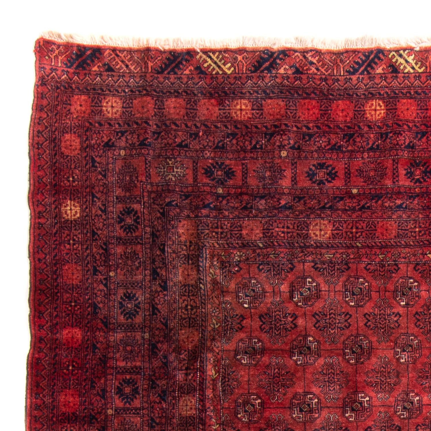 Tappeto Turkaman - 305 x 202 cm - rosso