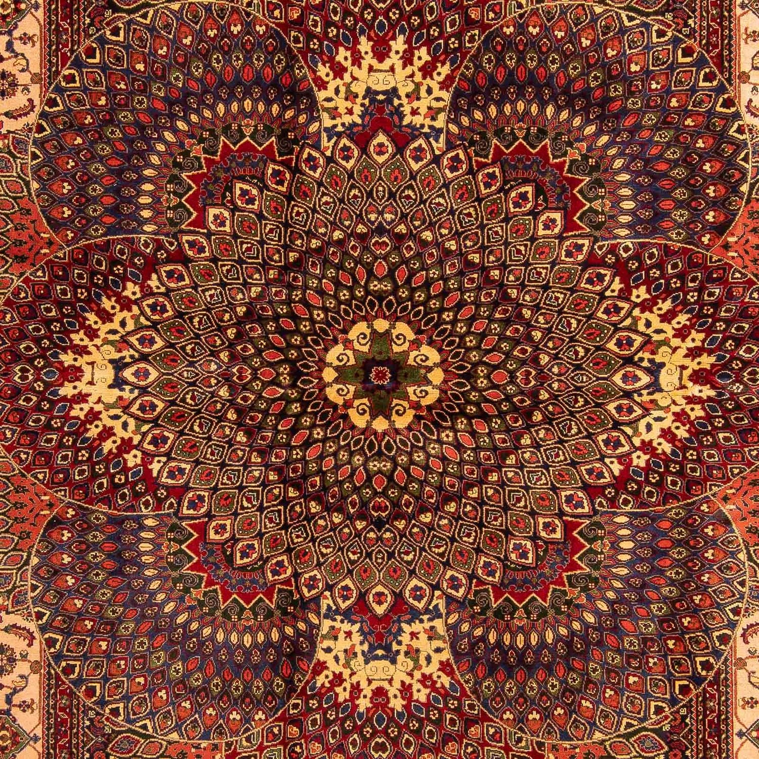 Tappeto afgano - 279 x 198 cm - multicolore